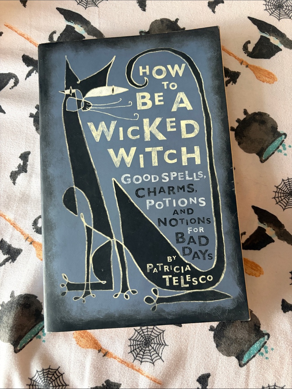 “How to Be a Wicked Witch” Soft Cover Book – Blue